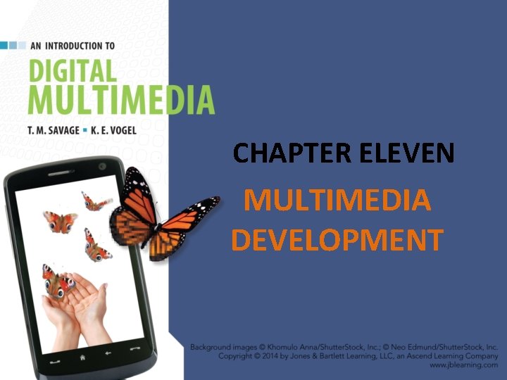 CHAPTER ELEVEN MULTIMEDIA DEVELOPMENT 