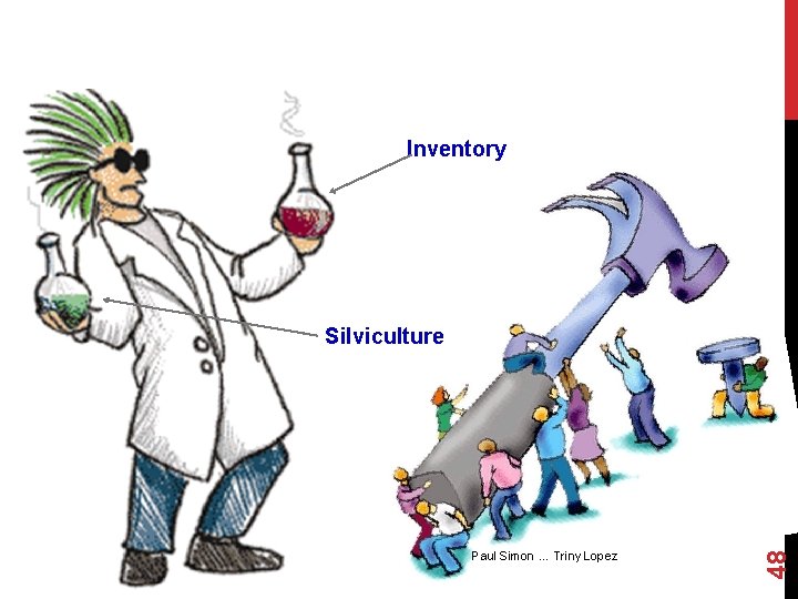 . Inventory Paul Simon … Triny Lopez 48 Silviculture 