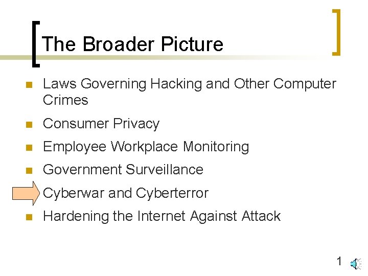 The Broader Picture n Laws Governing Hacking and Other Computer Crimes n Consumer Privacy