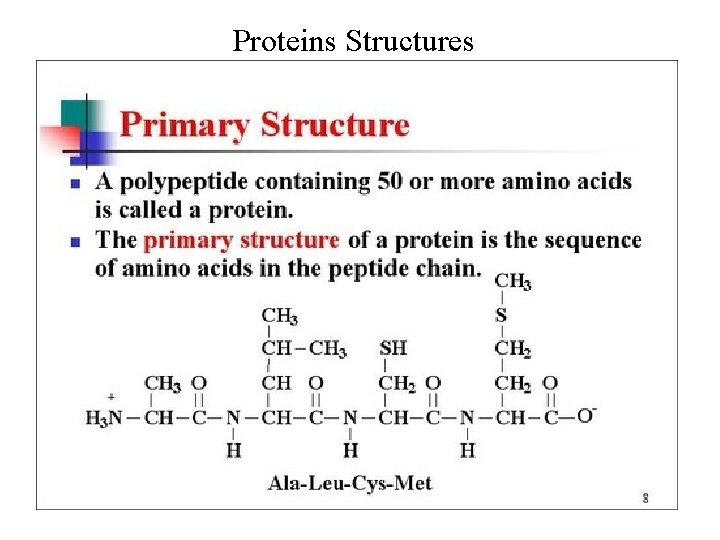 Proteins Structures • Primary Structure 