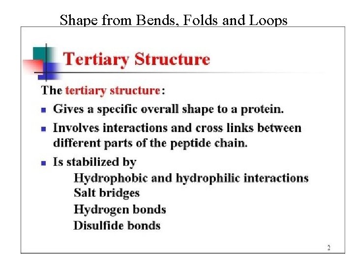Shape from Bends, Folds and Loops • Tertiary Structure 