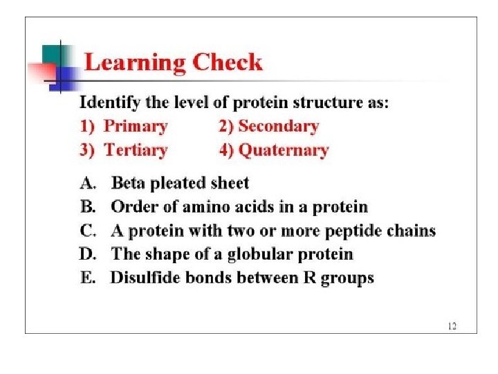 Proteins • Primary Structure 