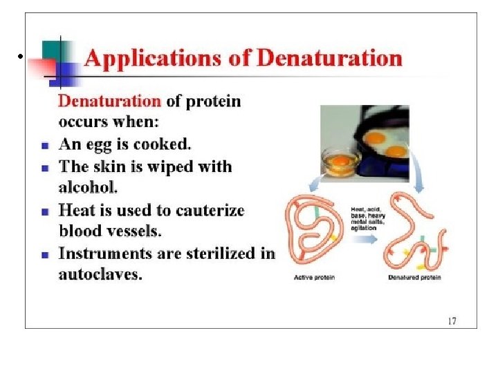 Denaturation • Review the four kinds of structure - simple definitions. 