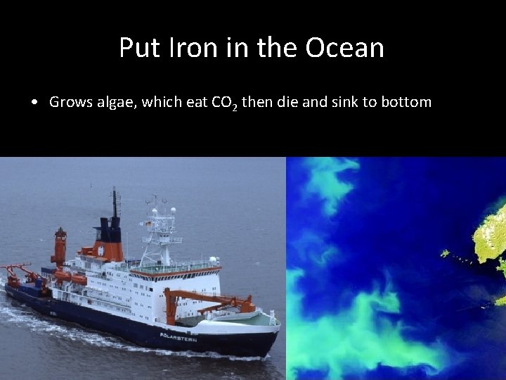 Put Iron in the Ocean • Grows algae, which eat CO 2 then die