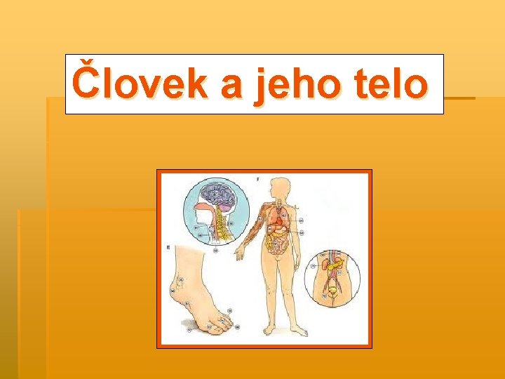 Človek a jeho telo 