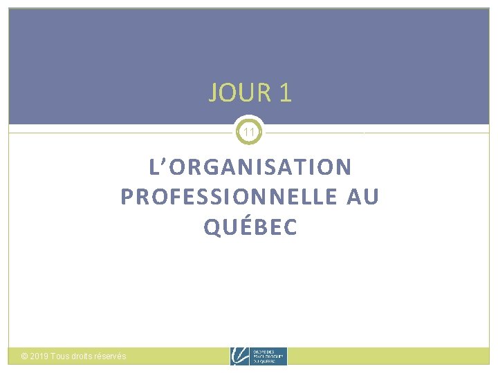 JOUR 1 11 L’ORGANISATION PROFESSIONNELLE AU QUÉBEC © 2019 Tous droits réservés 