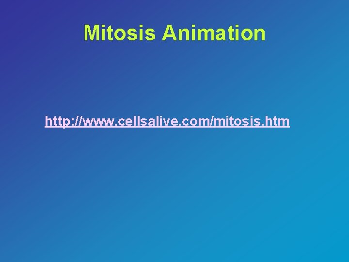 Mitosis Animation http: //www. cellsalive. com/mitosis. htm 