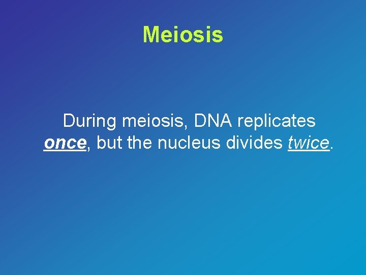 Meiosis During meiosis, DNA replicates once, but the nucleus divides twice. 