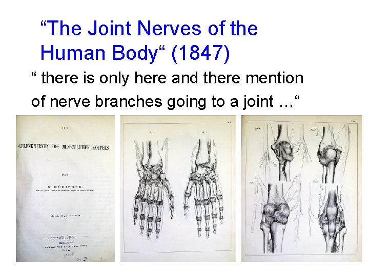 “The Joint Nerves of the Human Body“ (1847) “ there is only here and