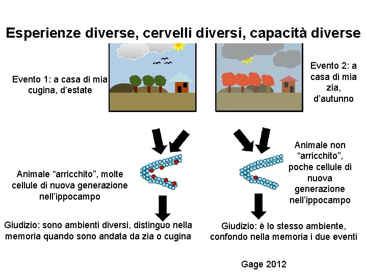 Esperienze diverse, cervelli diversi, capacità diverse Evento 2: a casa di mia zia, d’autunno