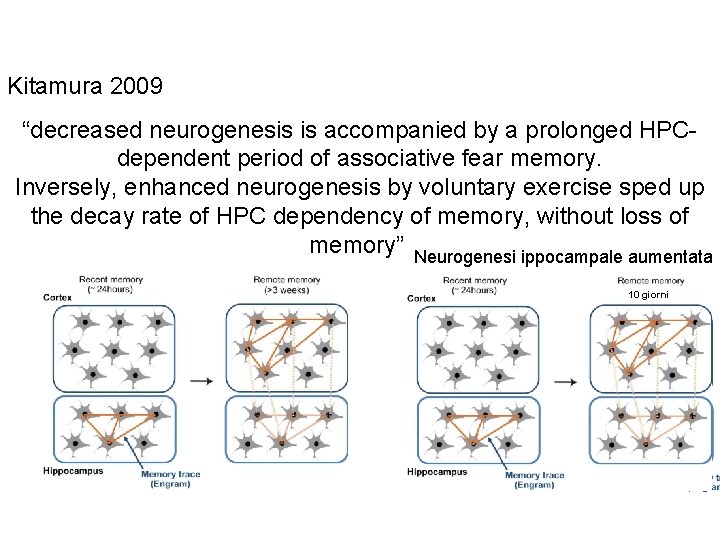 Kitamura 2009 “decreased neurogenesis is accompanied by a prolonged HPCdependent period of associative fear