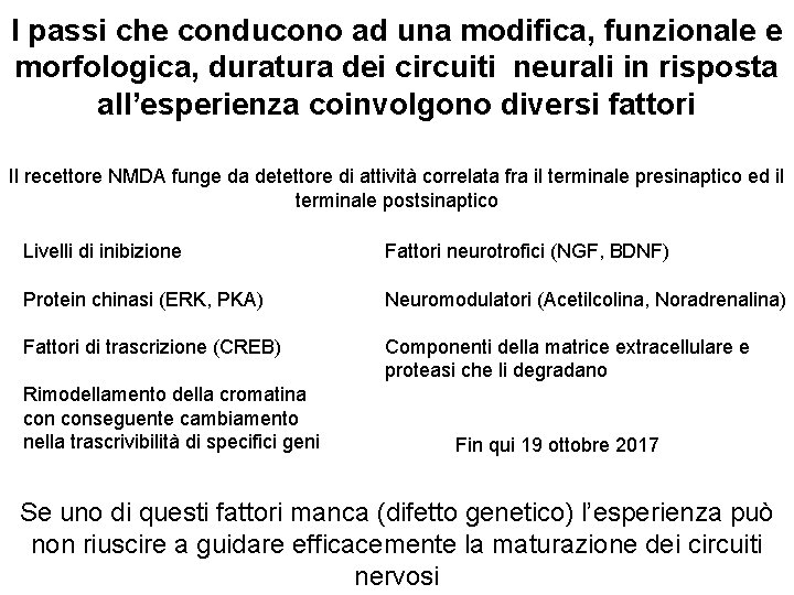 I passi che conducono ad una modifica, funzionale e morfologica, duratura dei circuiti neurali