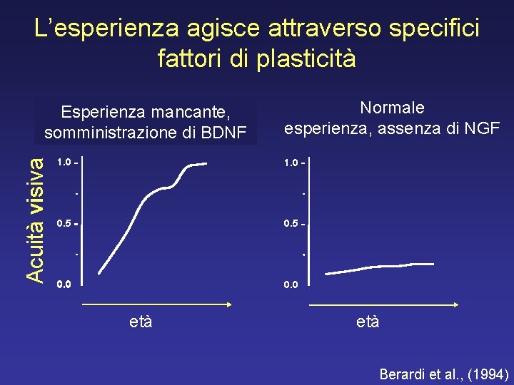 L’esperienza agisce attraverso specifici fattori di plasticità Acuità visiva Esperienza mancante, Sviluppo normale somministrazione