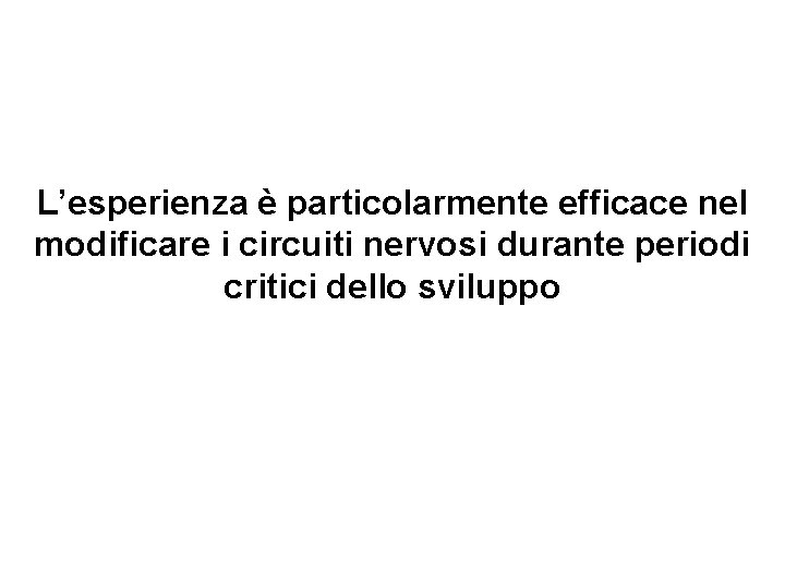 L’esperienza è particolarmente efficace nel modificare i circuiti nervosi durante periodi critici dello sviluppo