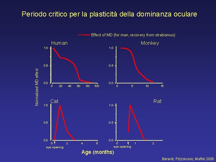 Periodo critico per la plasticità della dominanza oculare Effect of MD (for man, recovery