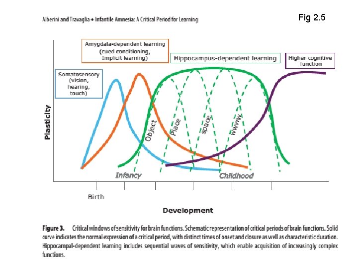 Fig 2. 5 