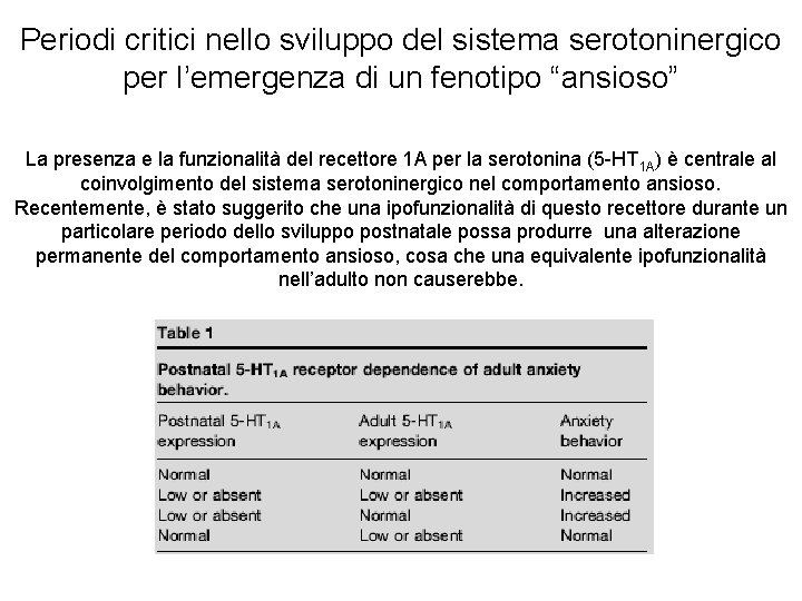 Periodi critici nello sviluppo del sistema serotoninergico per l’emergenza di un fenotipo “ansioso” La