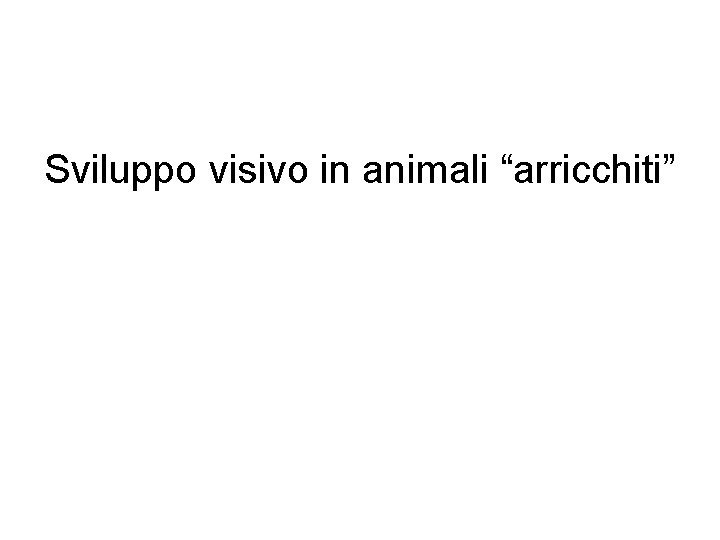 Sviluppo visivo in animali “arricchiti” 