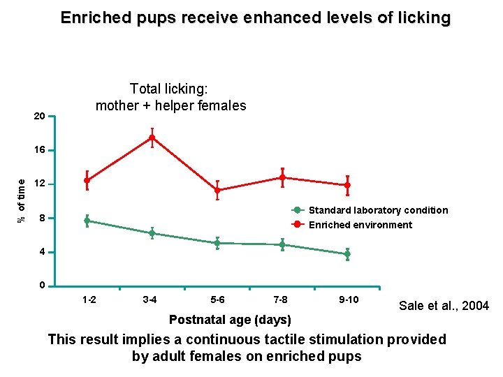 Enriched pups receive enhanced levels of licking 20 Total licking: mother + helper females