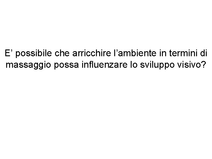 E’ possibile che arricchire l’ambiente in termini di massaggio possa influenzare lo sviluppo visivo?