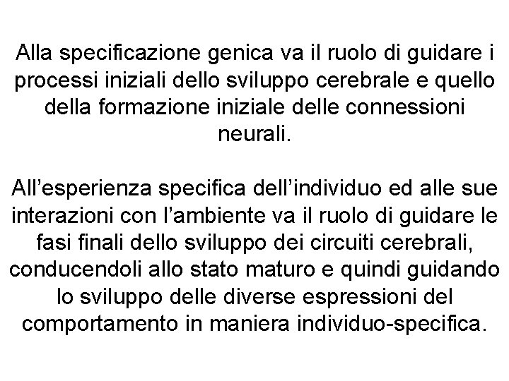 Alla specificazione genica va il ruolo di guidare i processi iniziali dello sviluppo cerebrale