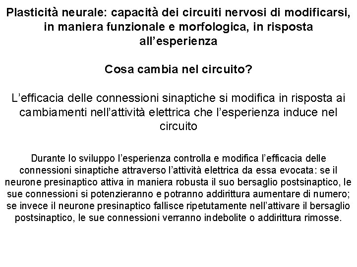 Plasticità neurale: capacità dei circuiti nervosi di modificarsi, in maniera funzionale e morfologica, in