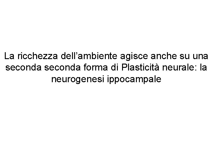 La ricchezza dell’ambiente agisce anche su una seconda forma di Plasticità neurale: la neurogenesi