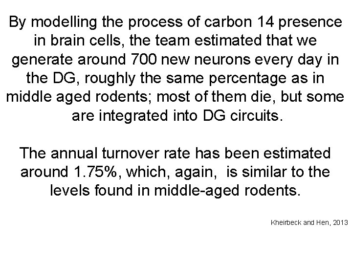 By modelling the process of carbon 14 presence in brain cells, the team estimated