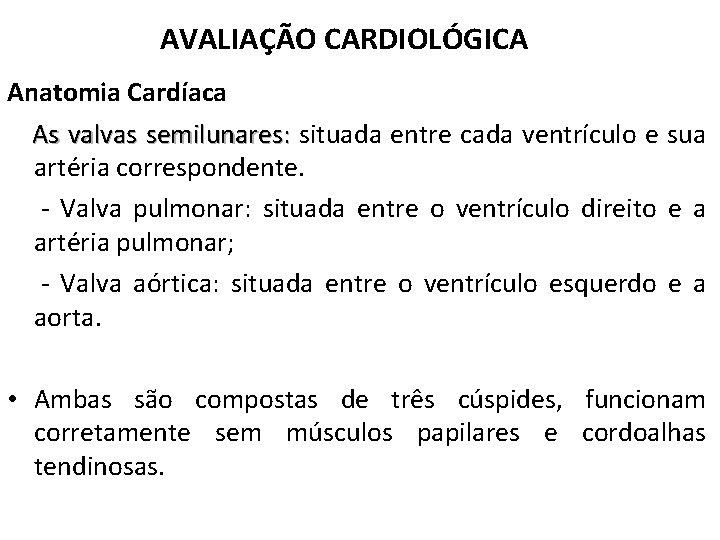 AVALIAÇÃO CARDIOLÓGICA Anatomia Cardíaca As valvas semilunares: situada entre cada ventrículo e sua artéria