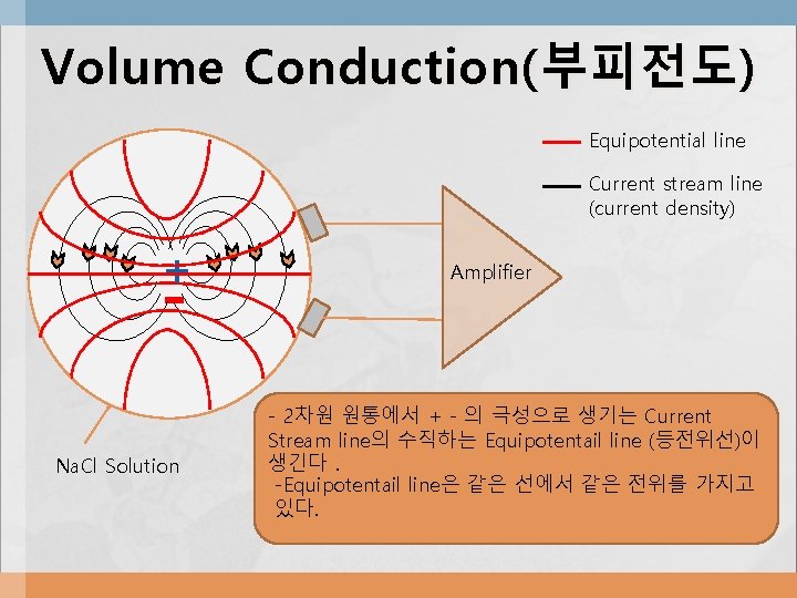 Volume Conduction( 부피전도) Equipotential line Current stream line (current density) + - Na. Cl