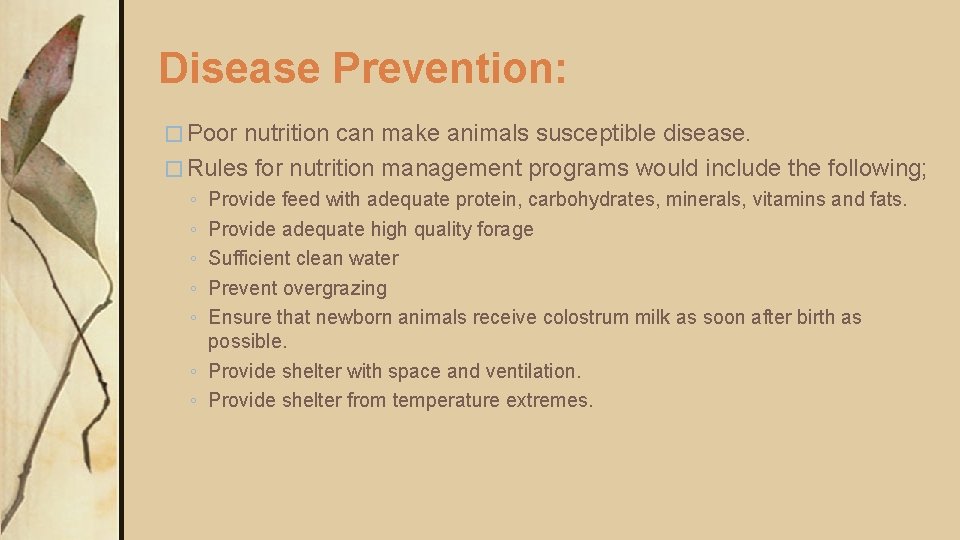 Disease Prevention: � Poor nutrition can make animals susceptible disease. � Rules for nutrition