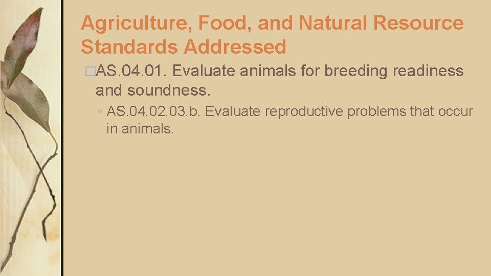 Agriculture, Food, and Natural Resource Standards Addressed �AS. 04. 01. Evaluate animals for breeding