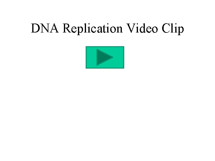 DNA Replication Video Clip 
