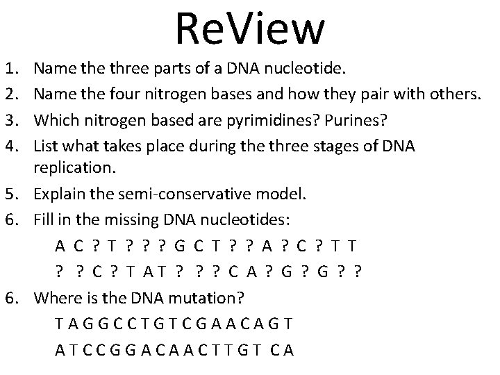 1. 2. 3. 4. Re. View Name three parts of a DNA nucleotide. Name