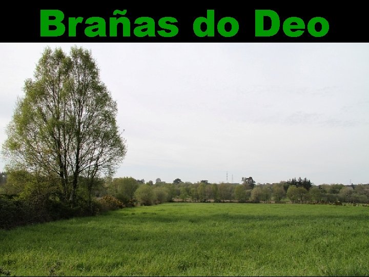 Brañas do Deo 