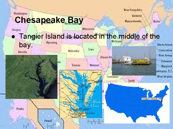 Chesapeake Bay ● Tangier Island is located in the middle of the bay. 