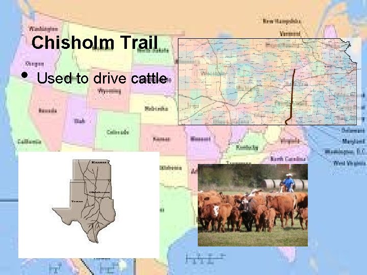 Chisholm Trail • Used to drive cattle 