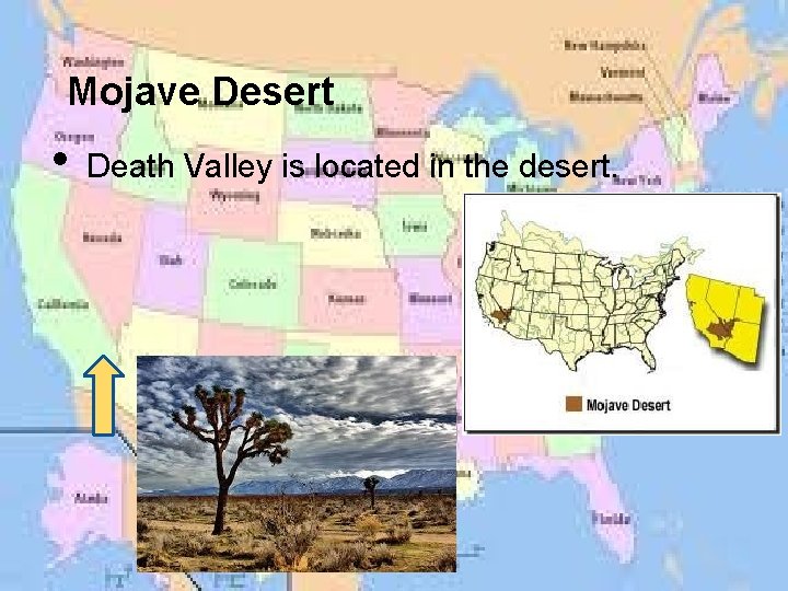 Mojave Desert • Death Valley is located in the desert. 