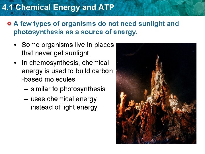 4. 1 Chemical Energy and ATP A few types of organisms do not need