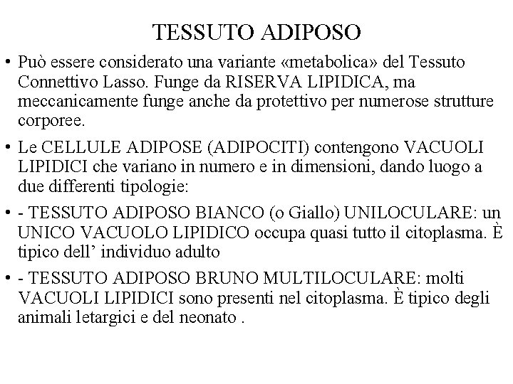 TESSUTO ADIPOSO • Può essere considerato una variante «metabolica» del Tessuto Connettivo Lasso. Funge