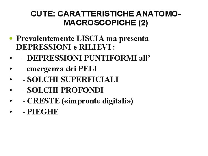 CUTE: CARATTERISTICHE ANATOMOMACROSCOPICHE (2) • Prevalentemente LISCIA ma presenta DEPRESSIONI e RILIEVI : •