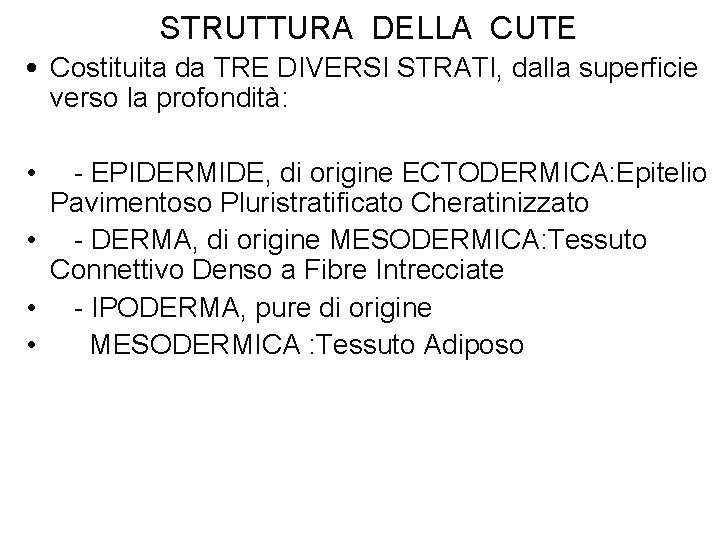 STRUTTURA DELLA CUTE • Costituita da TRE DIVERSI STRATI, dalla superficie verso la profondità: