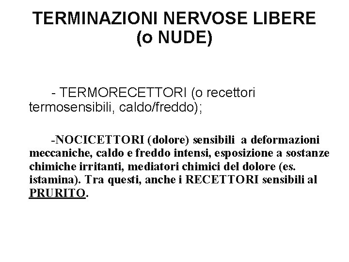 TERMINAZIONI NERVOSE LIBERE (o NUDE) - TERMORECETTORI (o recettori termosensibili, caldo/freddo); -NOCICETTORI (dolore) sensibili