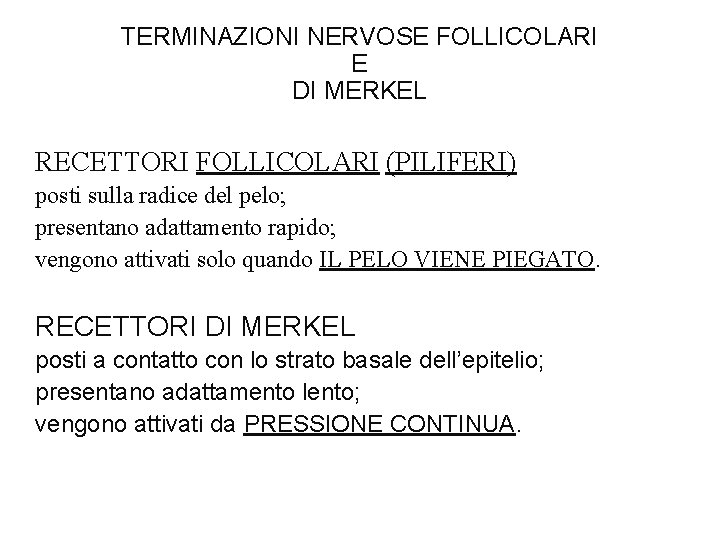 TERMINAZIONI NERVOSE FOLLICOLARI E DI MERKEL RECETTORI FOLLICOLARI (PILIFERI) posti sulla radice del pelo;