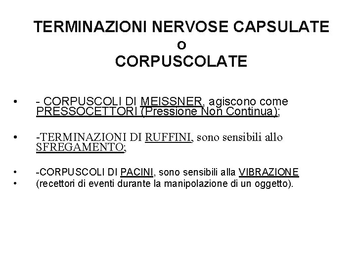 TERMINAZIONI NERVOSE CAPSULATE o CORPUSCOLATE • - CORPUSCOLI DI MEISSNER, agiscono come PRESSOCETTORI (Pressione