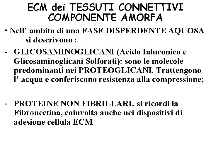 ECM dei TESSUTI CONNETTIVI COMPONENTE AMORFA • Nell’ ambito di una FASE DISPERDENTE AQUOSA