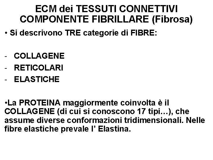 ECM dei TESSUTI CONNETTIVI COMPONENTE FIBRILLARE (Fibrosa) • Si descrivono TRE categorie di FIBRE: