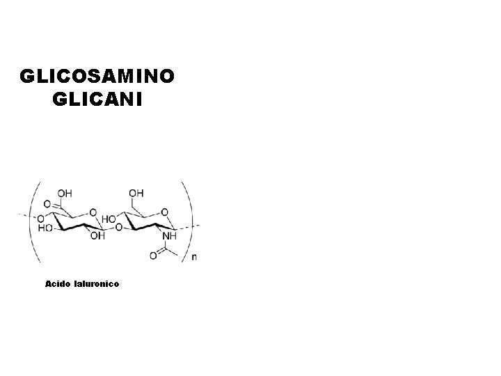 GLICOSAMINO GLICANI Acido Ialuronico 