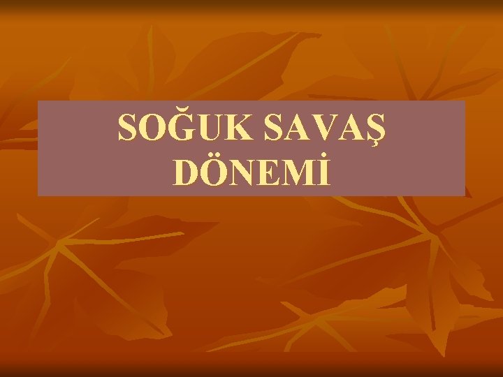 SOĞUK SAVAŞ DÖNEMİ 