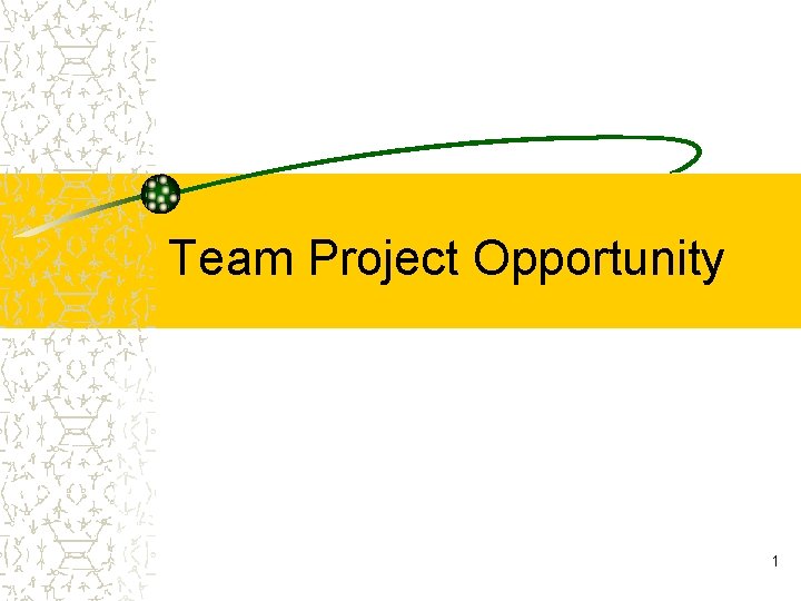 Team Project Opportunity 1 